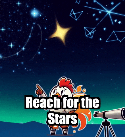 Stars Night GIF by Zorooster