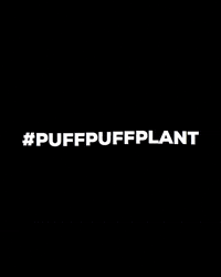 TreeRolls nature cbd trees hemp GIF