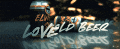 Country Music Love GIF by Elvie Shane