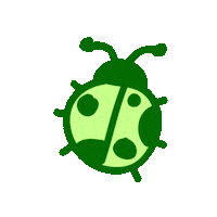 Insect Ladybug Sticker by entomologando