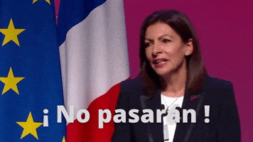 Anne Hidalgo Ps GIF by Parti socialiste