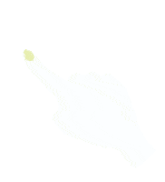 Tap 指 Sticker