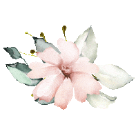 SpiritusNaturae fleur carte étape spiritusnaturae spiritus naturae Sticker