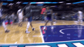 Charlotte Hornets Win GIF by NBA