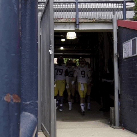 College Sports Football GIF by LSU Tigers