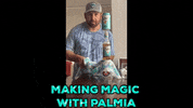Small Business Party GIF by Palmia Beer