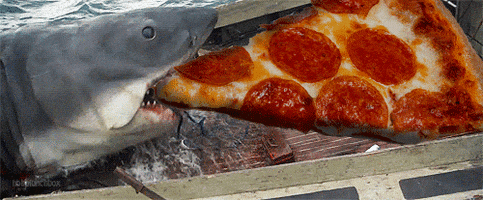pizza tiburon GIF
