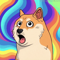 Shiba Inu Wow GIF by Doge Pound