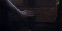 Episode 1 GIF by National Geographic Channel