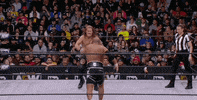 Chris Jericho Wrestling GIF by AEWonTV