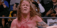 Chris Jericho Wrestling GIF by AEWonTV