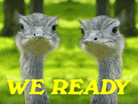 You Got This Lets Go GIF by Sealed With A GIF