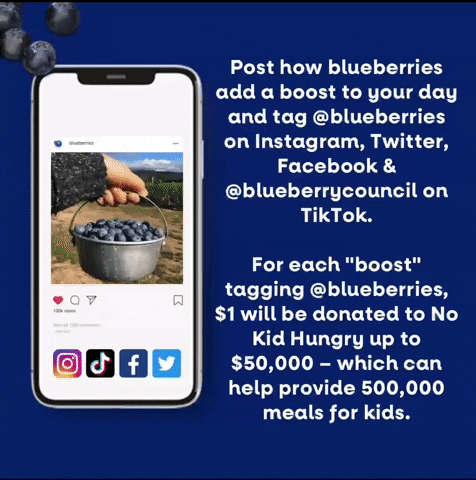 BlueberryCouncil giphyupload blueberries nbm no kid hungry GIF