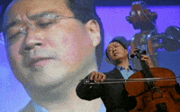 Violin Eargasm GIF