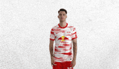 Champions League Football GIF by RB Leipzig