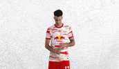 Champions League Football GIF by RB Leipzig