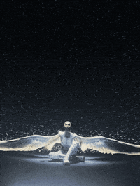 Beauty Magic GIF by Woodblock