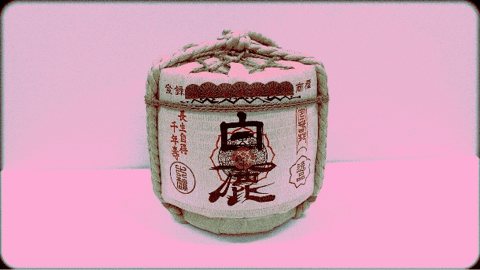 Japan Sake GIF by TATSUUMA-HONKE BREWING CO. LTD.