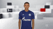 Fc Schalke 04 Reaction GIF by Bundesliga