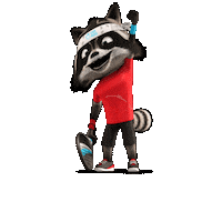 Bandido Sticker by Tennisenpadelvlaanderen