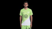 Bundesliga Thumbs Up GIF by VfL Wolfsburg