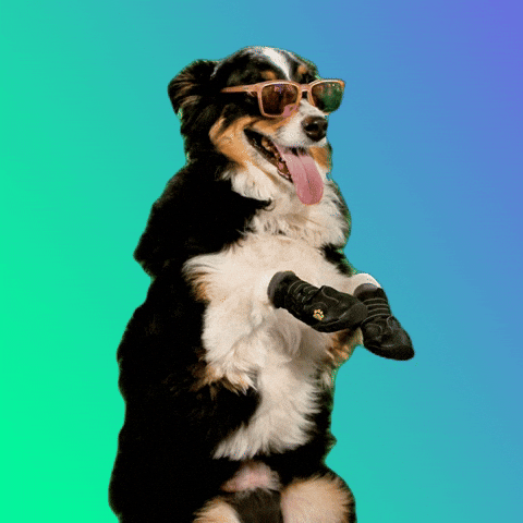 Hot Dog GIF by GIPHY IRL