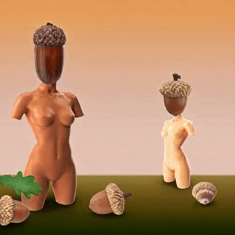 Fall Autumn GIF by The LSD Hotel