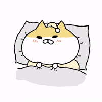 Tired Cat GIF