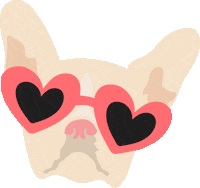 Bull Dog Party Sticker by lushra