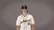 Baseball Calstatela GIF by Cal State LA Golden Eagles