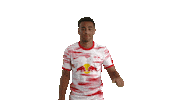 Lets Go Lol Sticker by RB Leipzig