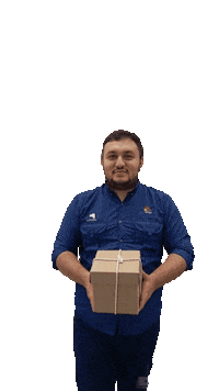 Delivery Ok Sticker by Rapi2Go