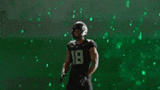 Oregon Football GIF by GoDucks