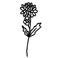 Flower November Sticker