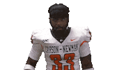 Scream Flex Sticker by Carson-Newman Athletics