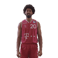 Lets Go Basketball Sticker by Telekom Baskets Bonn