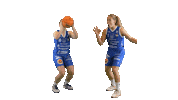 Ella Salminen Sticker by Basket_fi