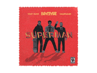 Tony Hawk Superman Sticker by Big Noise