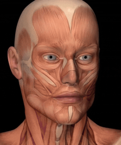 Imstillhungys giphyupload GIF