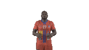Saint-Marcel Handball Sticker by SMV HB