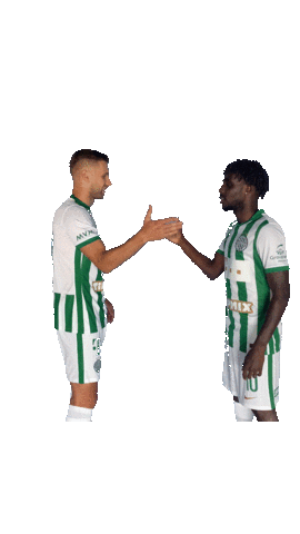 Eldar Civic Sticker by Ferencvárosi Torna Club