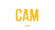 Photo Camera Sticker by Playz