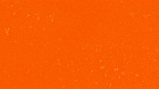 Thibodeau GIF by Flint Firebirds