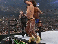 wwe sports wwe wrestling summerslam GIF