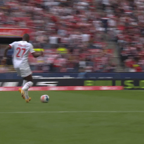 1 Fc Cologne Football GIF by 1. FC Köln