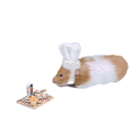 Chrissy Teigen Food Sticker by Cravings by Chrissy Teigen