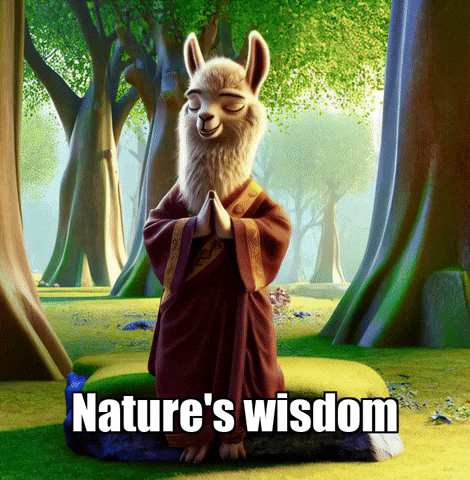 Wisdom GIF by dalaillamazen