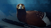 GiantSquidStudios eagle birb hi there nest GIF