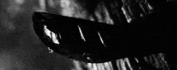 film horror GIF by hoppip