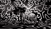 rated r rude boy mv GIF by Rihanna